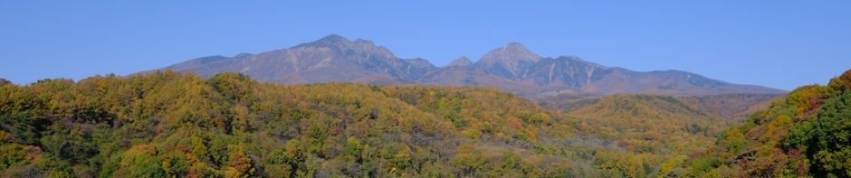 RBS Blog 愛犬, 愛車, 愛妻との日々